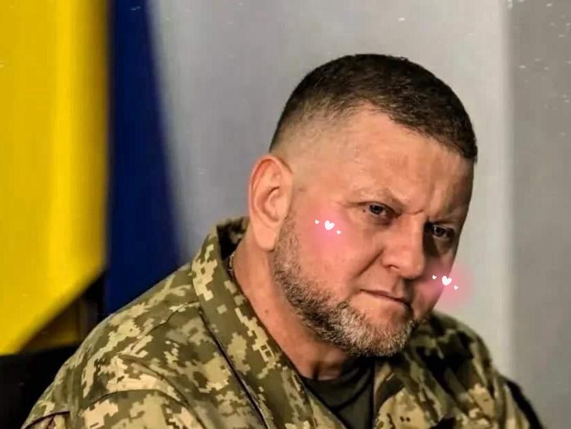 来自外媒的消息说，乌克兰军队前总司令扎卢日内公开表示，一旦乌克兰停火，把士兵从前