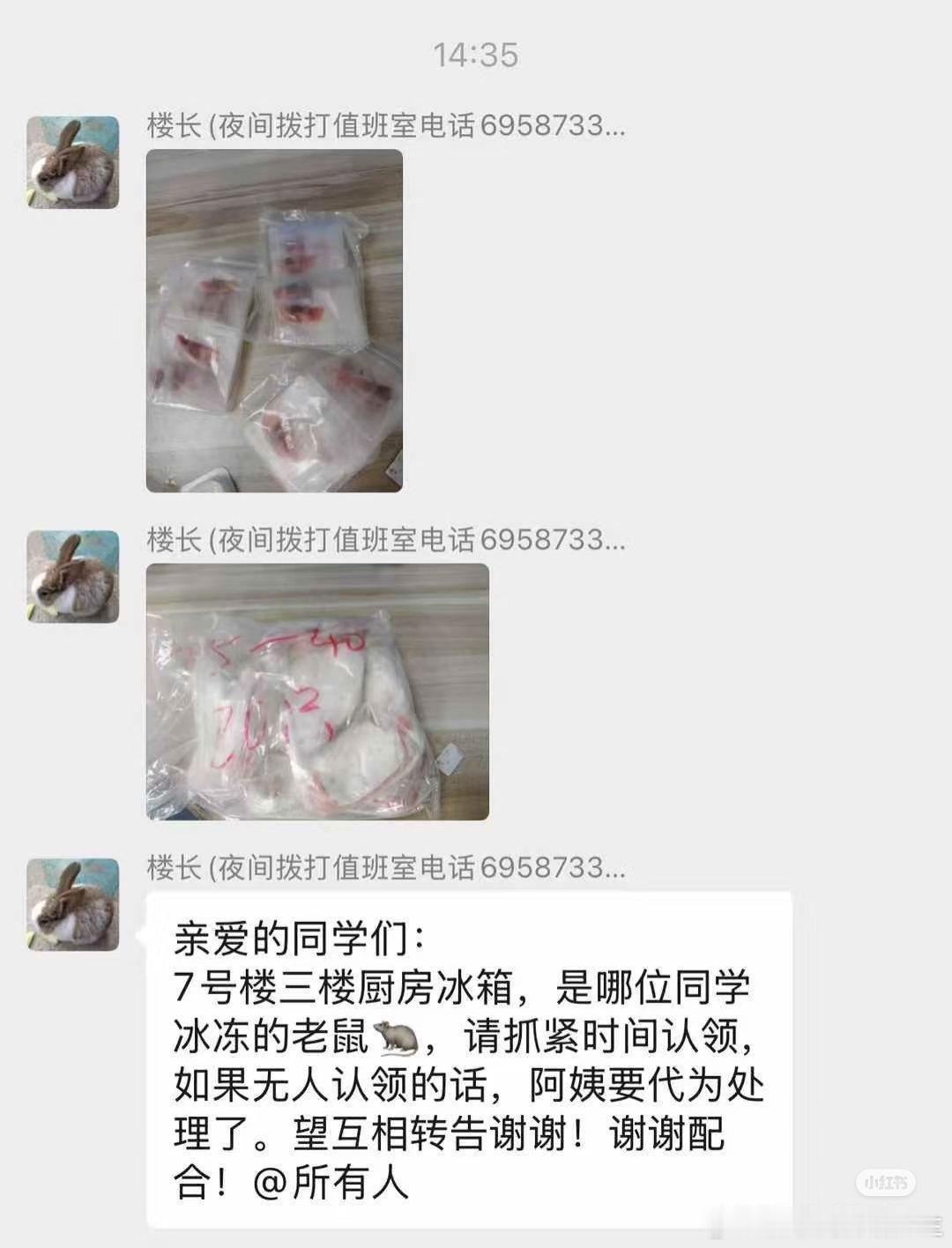 没想到同济还有这么炸裂的事情冰冻🐭，震惊了求大学生的精神状态图源🍠网友后续在