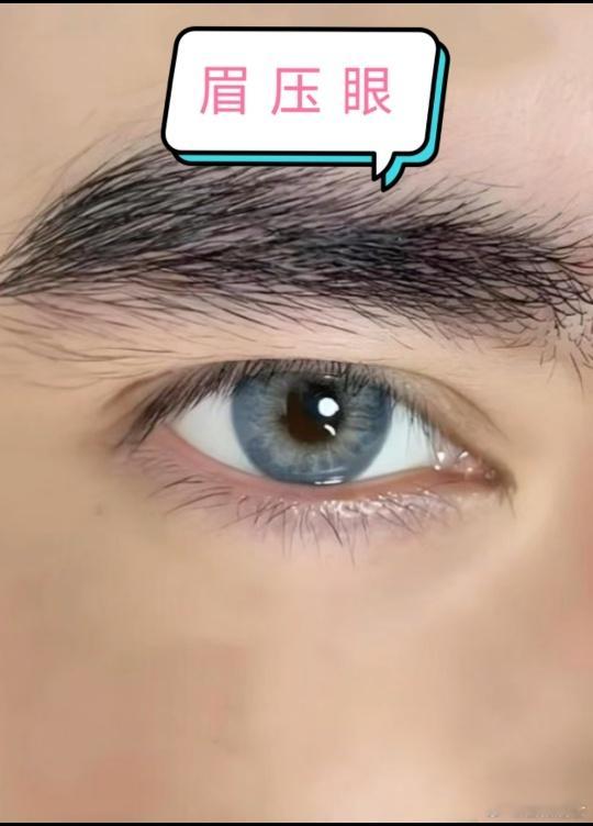 什么叫真正的眉压眼？眉压眼的人都知道不好，但何谓眉压眼？很多人说眉毛和眼睛距离近就是眉压眼。今天告诉