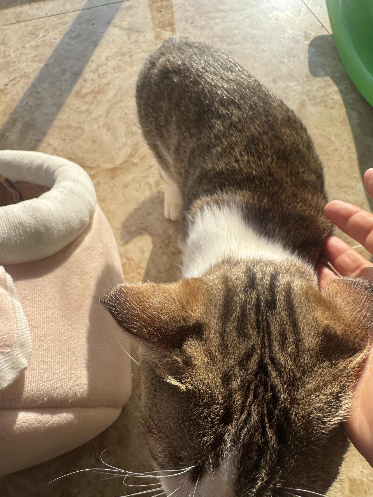 为了保命，我直接断了所有社交！以前总觉得人得多交朋友，圈子越大越厉害。饭局一场