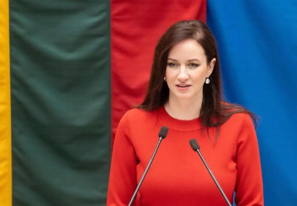 立陶宛，总理直接打脸总统，当着全世界的面认错，直言5年前的决定太愚蠢，简直是搬起