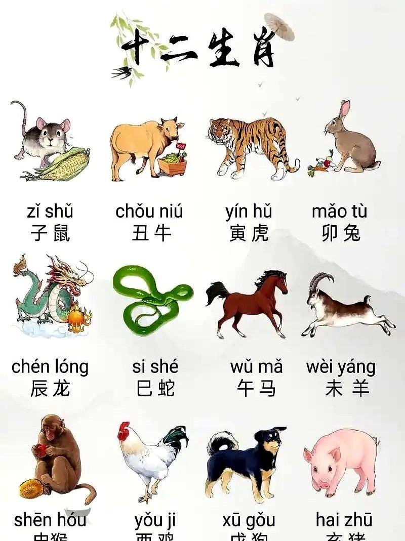 爸妈，别再把生肖当迷信！今天刷到一条新闻：故宫把龙年谜语做成盲盒，上线3分钟