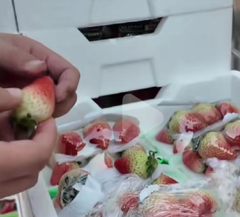 近日，一辆载着8吨草莓的货车准备从安徽开往广东，因大雪错过了交付时间，面对即将烂