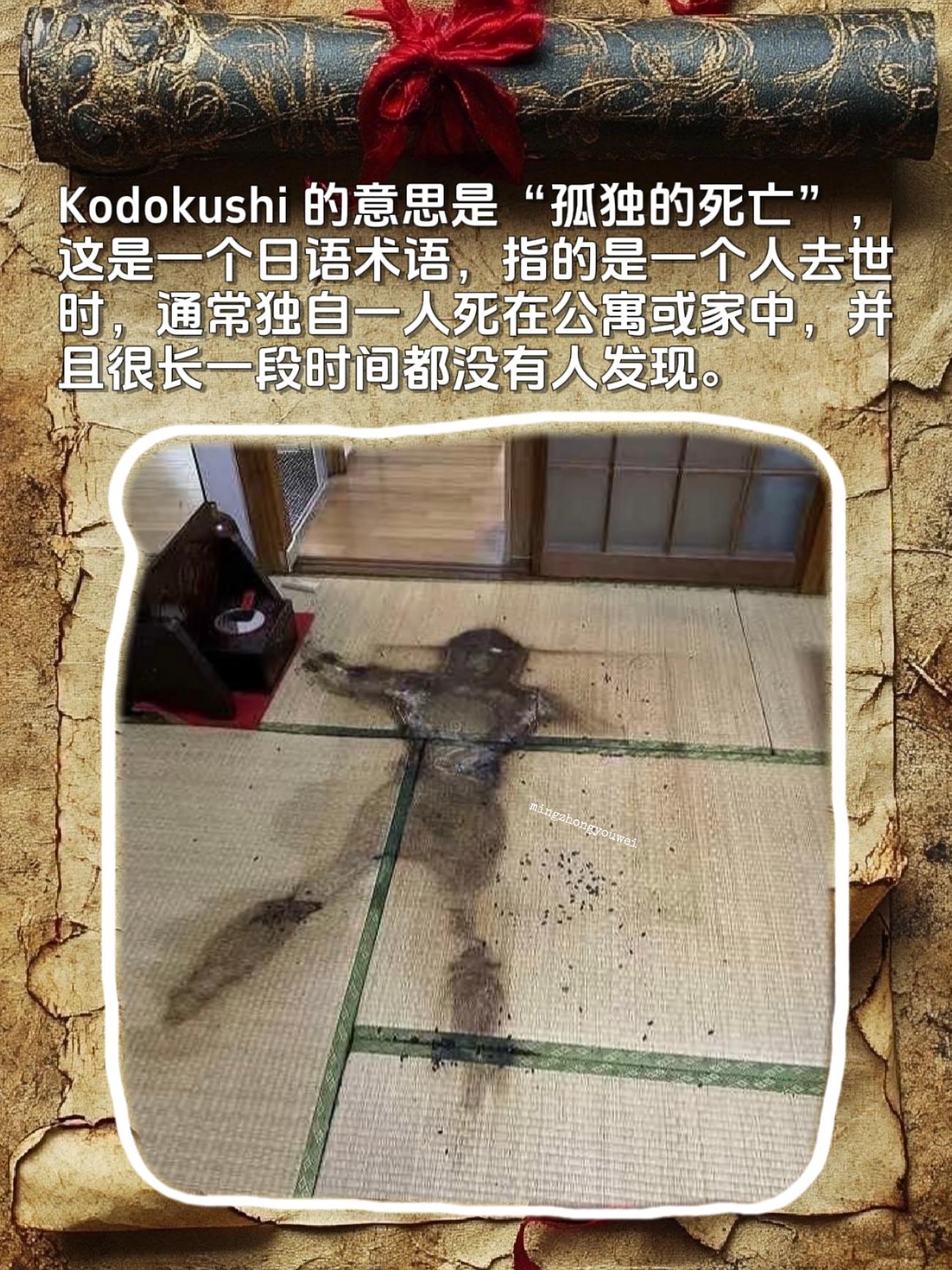Kodokushi的意思是