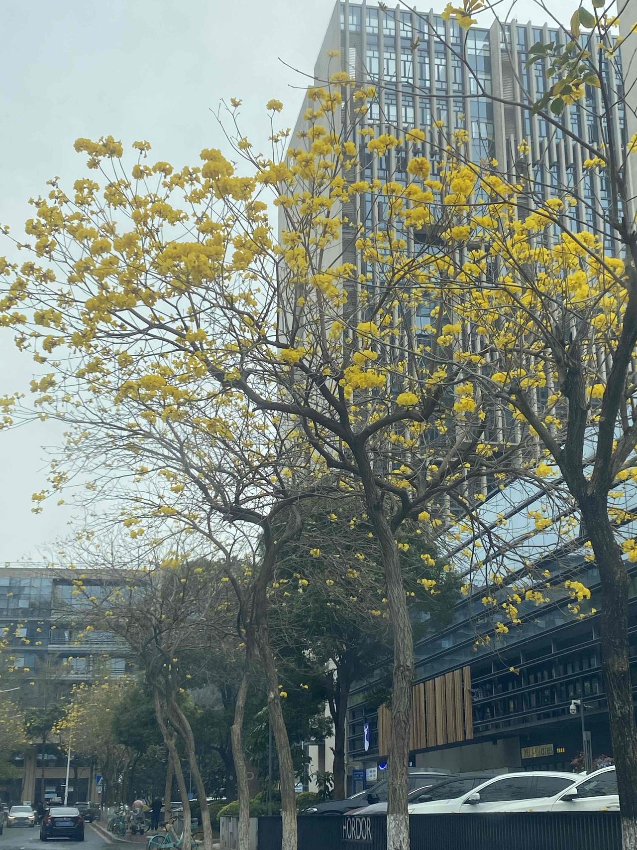 你买下市中心的房子，过上了优渥生活。没过几年，房价下跌，你平凡的朋友也有能力在这