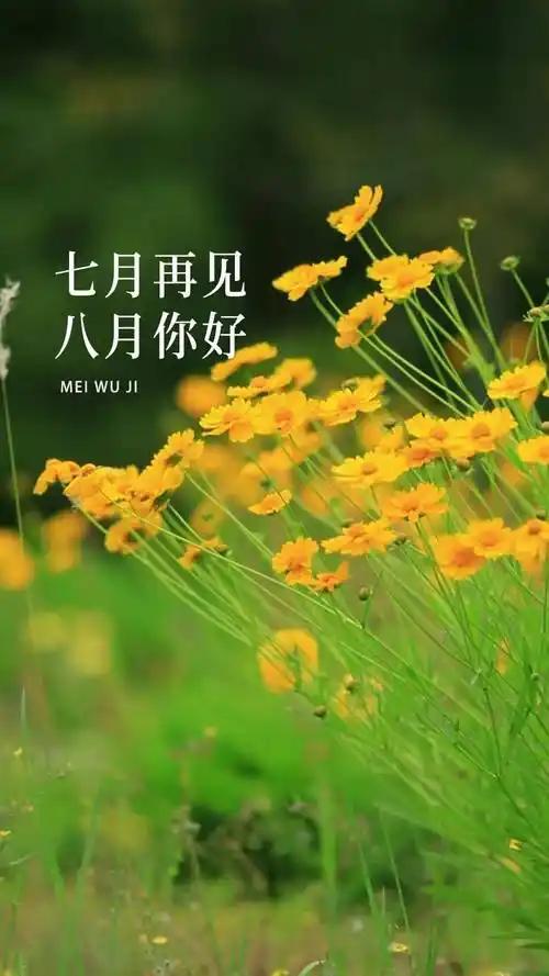又到7月末7/29/六/十六/阴/早安又将7月尽，马上进8月。8月始入秋