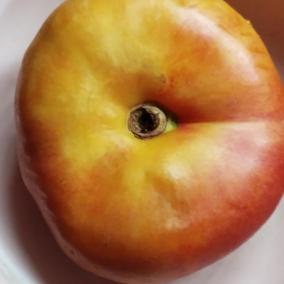每天都有重启动身体。先喝一点稀饭或米汤都算是重启动胃。我已经快到耄耋之年。是个