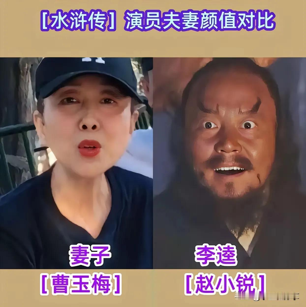 李雪健的爱人。宋文华的爱人。赵小锐的爱人。王思懿的爱人。唐国强的爱人。