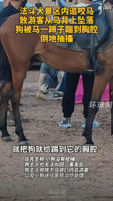 “这下后悔了吧！”8月10日，宁夏中卫，一女子带狗去景区玩，可是刚下车，狗就冲着