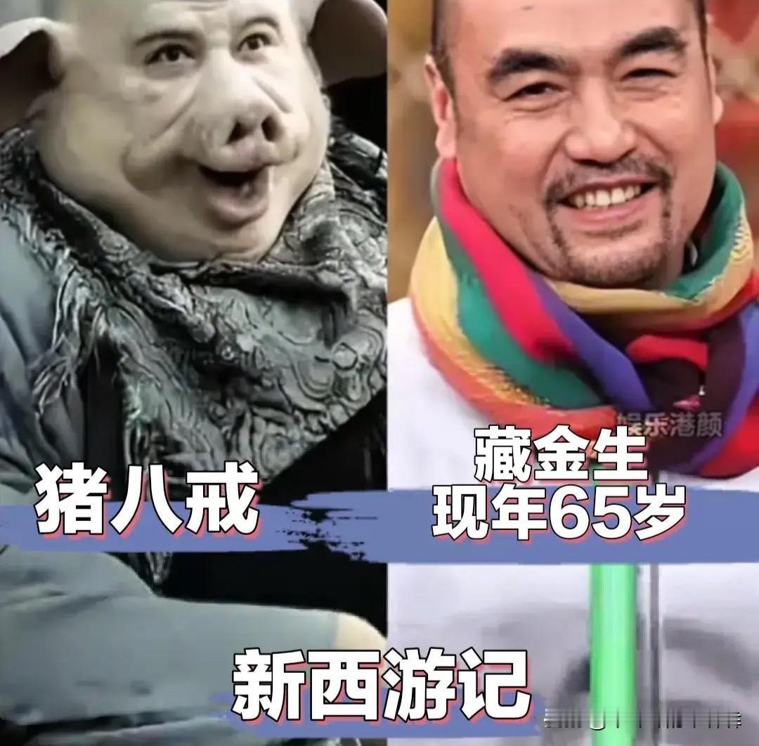马德华、徐峥、黎耀祥、谢宁，这些演员演的猪八戒，承包了我们整个童年的快乐。马德华