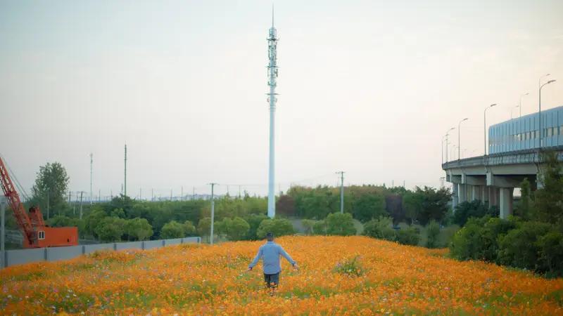 冷门的8个高薪工作：1、花海看护员2、墓地巡逻员3、掏粪工4、殡仪馆化妆