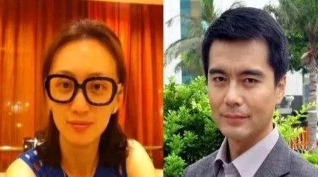 当年，许亚军携着何晴踏入家门，朝着妻子张晞决然说道：“咱们离婚吧，我倾心于何晴，