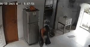 煤气爆炸真可怕