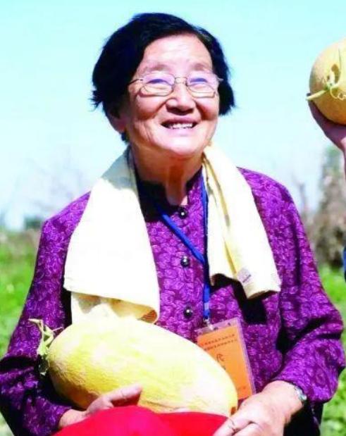 1984年，有领导到新疆鄯善视察，研究所盛情邀请大家品尝新品种瓜，一名女研究员千