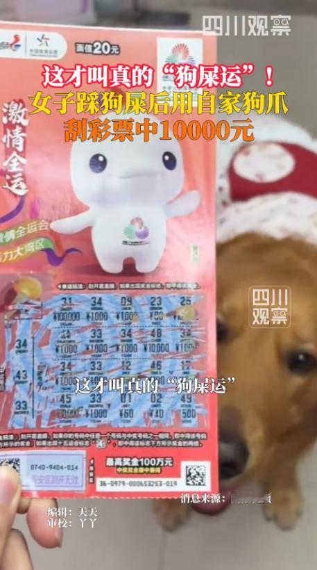 这才是真“狗屎运”！12月2日，广东深圳，一女子晚上遛狗时，不小心踩到了狗屎，于