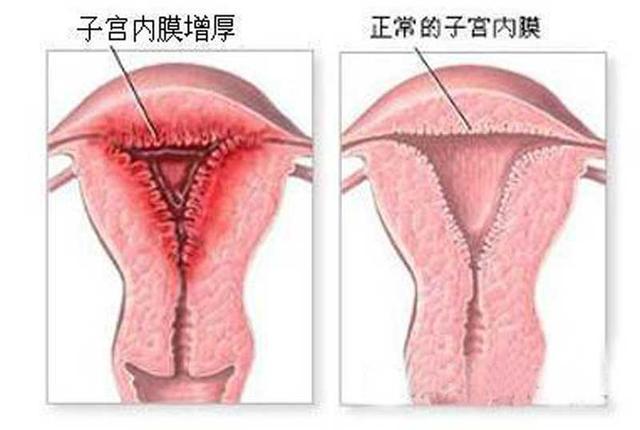 12个月里最容易怀孕的两个月, 子宫一年里质量最佳的时候