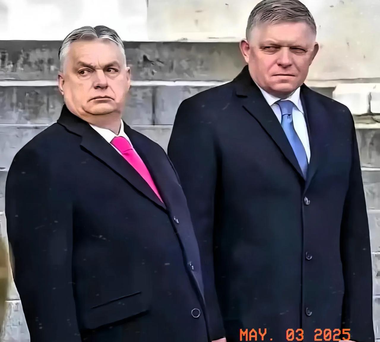 欧尔班最近寝食难安，并不是因为冯德莱恩对他的指责，而是快要破产了。匈牙利总理欧尔