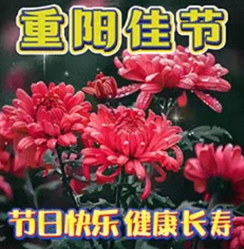 早安！今日重阳，推开窗就被那耀眼的金黄桂花惊艳到，香气直沁心脾，仿佛把秋天所有浪