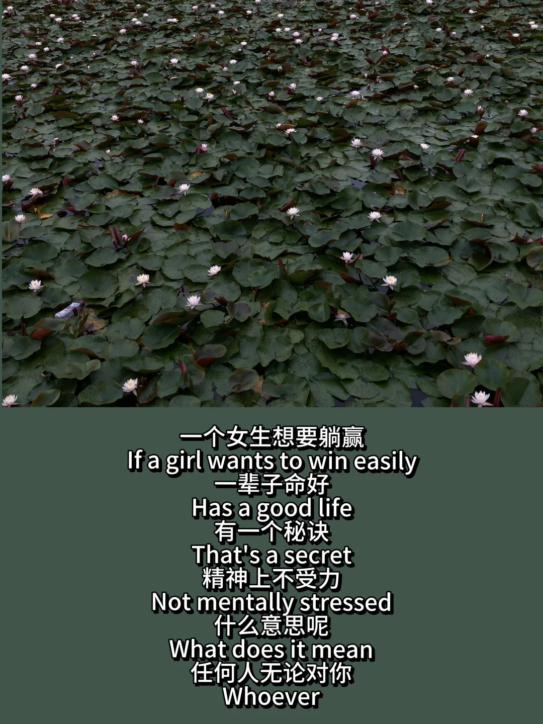 这段话好通透啊