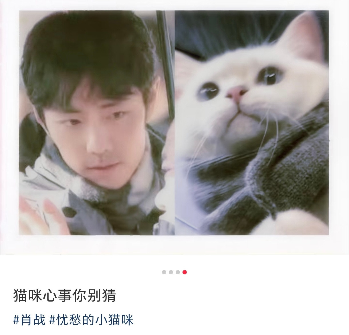 萌鼠啦！！！！！