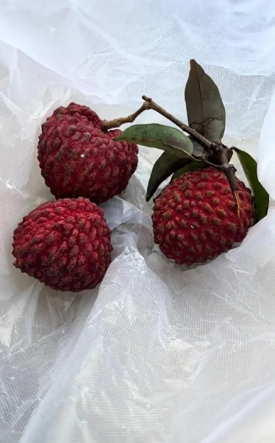 #荔枝##荔枝果##荔枝的鲜吃法#现在正是吃荔枝的季节，