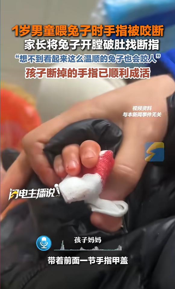 “悲剧还是发生了！”近日，河南郑州，一男孩喂兔子时，手指不慎被兔子咬断，家长见状