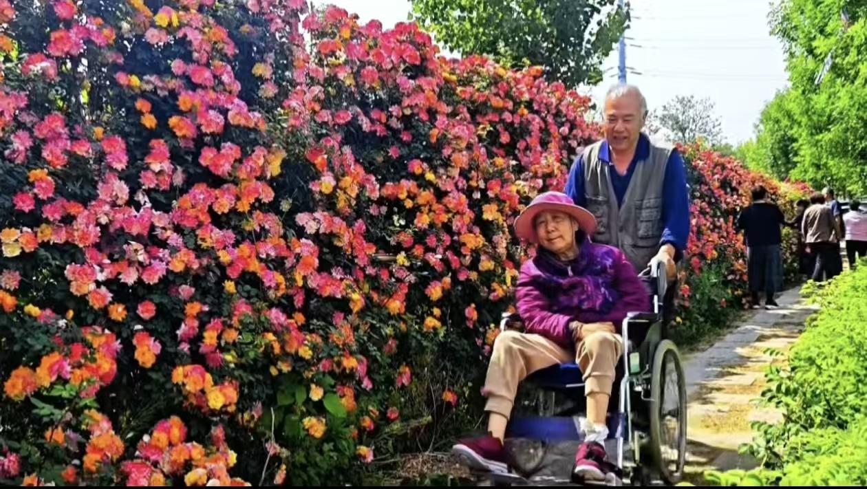 “宁愿死在路上，也不死在病床上。”69岁老人带偏瘫妻子自驾游中国，最喜欢的是新疆