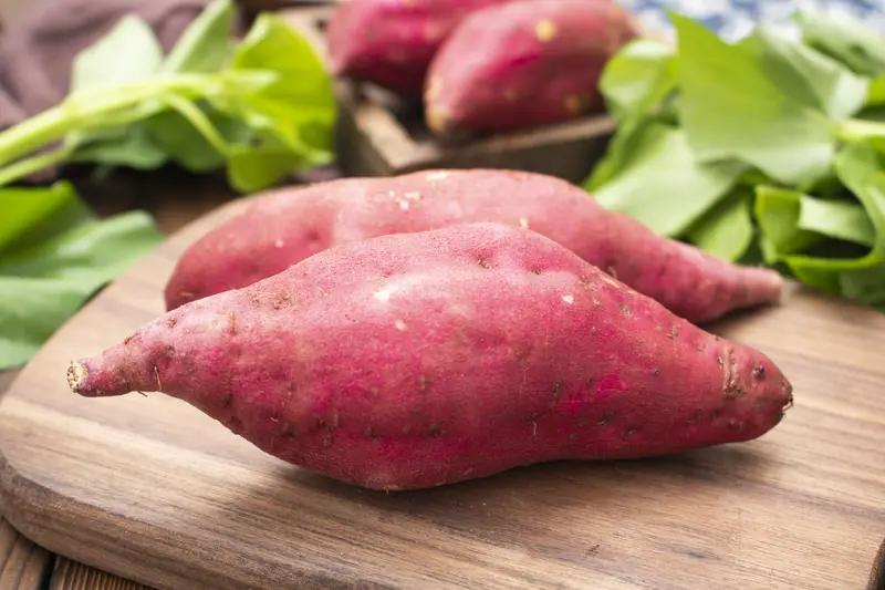 地瓜属于蔬菜类还是水果类?地瓜一般算蔬菜，从植物学角度讲，水果是植物的果实，