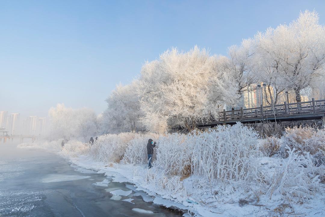 刚从吉林回来，这三大疑问不吐不快!第一问：雾松，真的不是特效吗?都说看雾松得