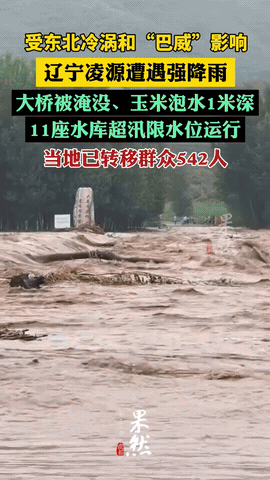 浙江人懵了，江苏人也懵了，估计连辽宁人自己也懵了，大家怎么也没想到，本