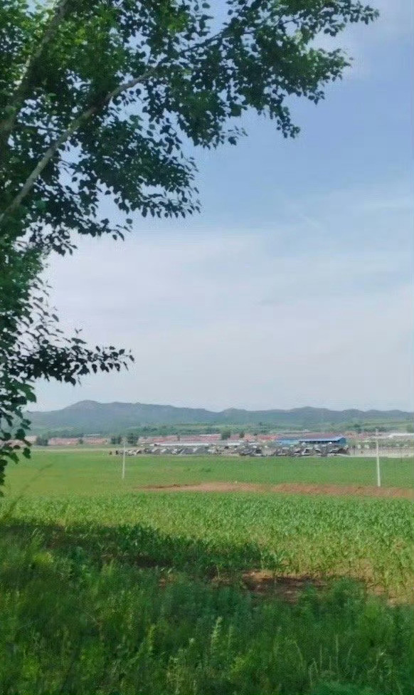 儿子的同学来家里吃饭，大口大口的吃排骨