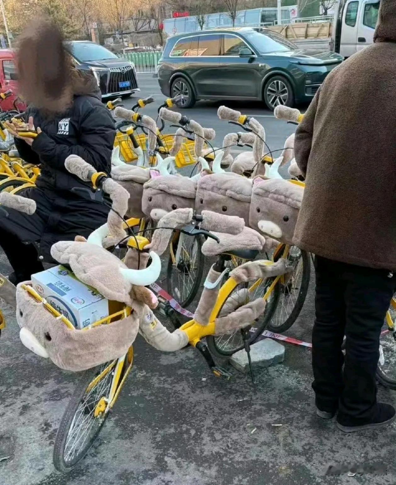 大城市就是好啊！自行车都穿貂了