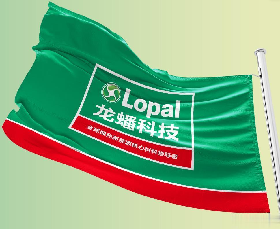 连亏11个季度, 净资产仅38亿, 龙蟠科技吞得下500亿大单吗?