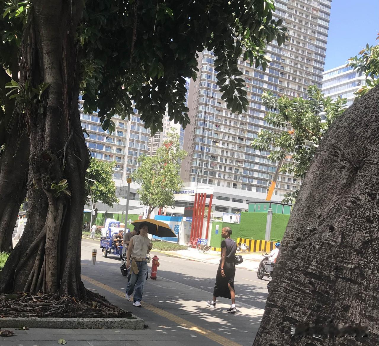 烈日下30多度，太阳追着人烤。身材高挑的非洲黑妞行走在深圳南山街头，悠然自得。比