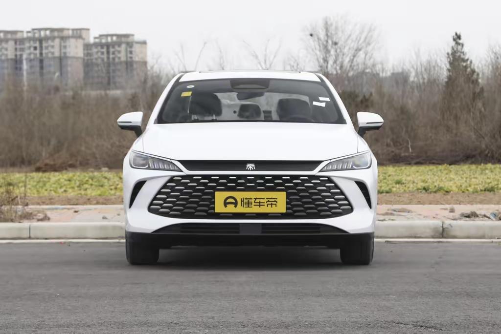 兄弟们，昨天刷到懂车帝的11月新能源销量榜单，好家伙，秦PLUS又是榜首！仔细