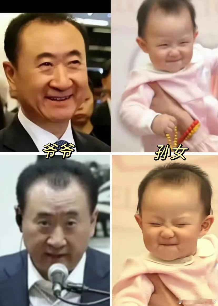 黄一鸣说女儿像爷爷如果是个孙子估计老王很快就认了吧