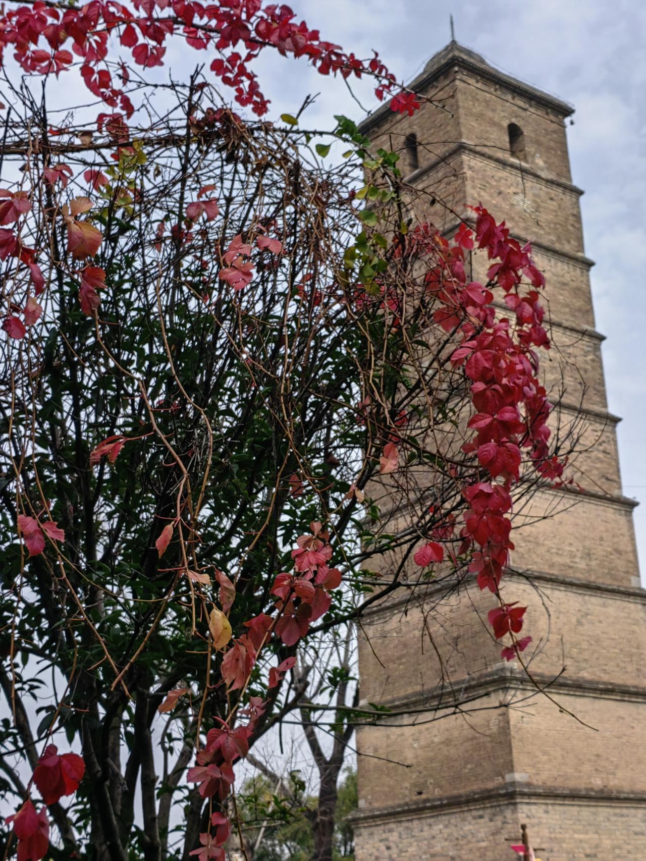 浏览到一专家说，爱吃辣椒者长寿，与过去专家主张少吃刺激性食物观点相悖，很多人认为