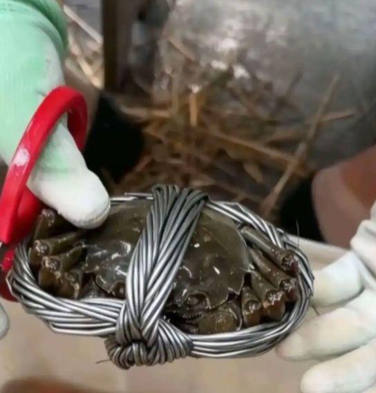 快过年了，大家不买点螃蟹吗