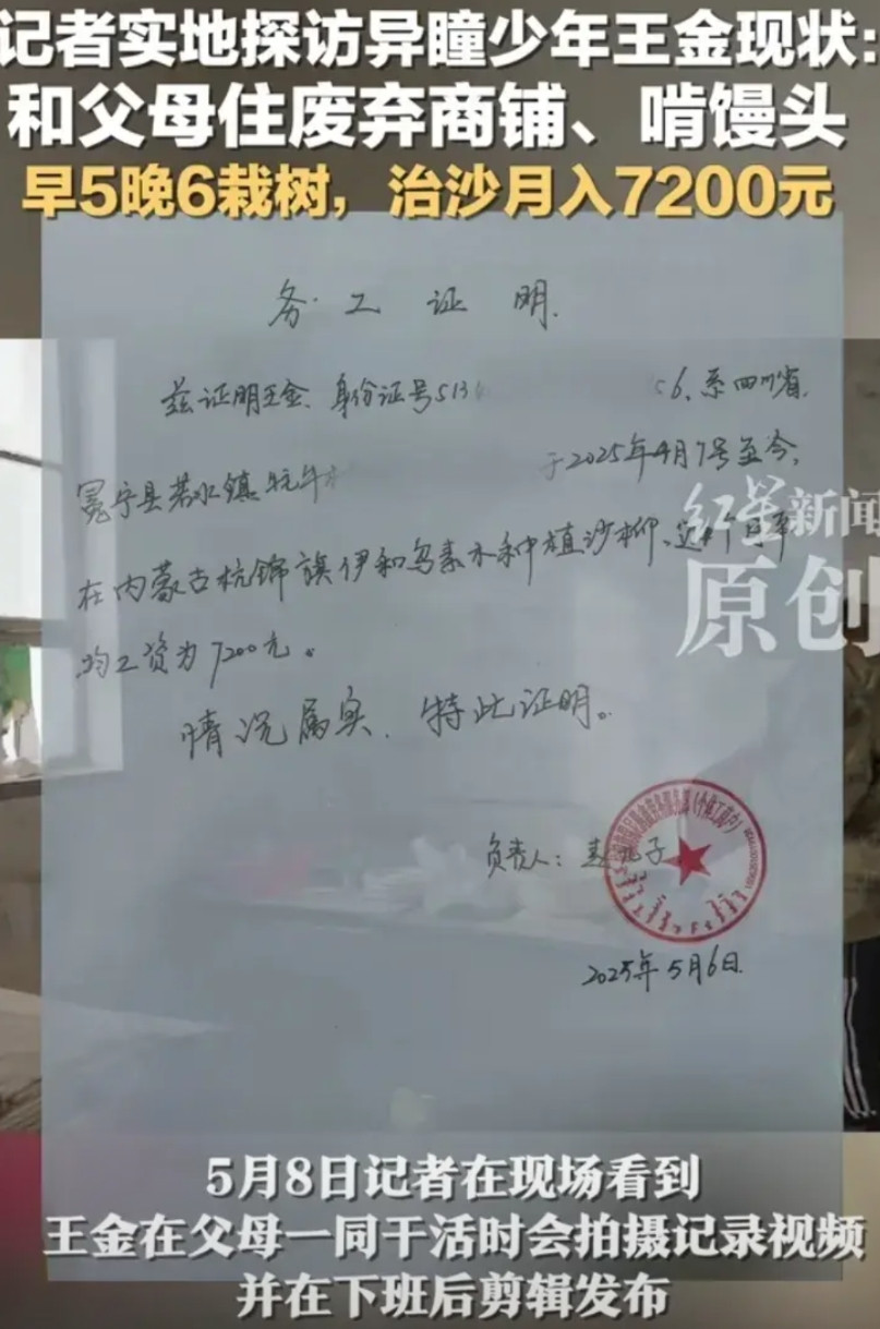 异瞳少年后续，根据务工证明，王金4月7日入职了种植沙柳的工作，月工资7200元，