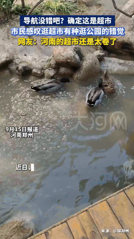 解释不清了！河南郑州，男子带朋友去逛超市，可到超市后朋友都懵了，反复问是不是走错