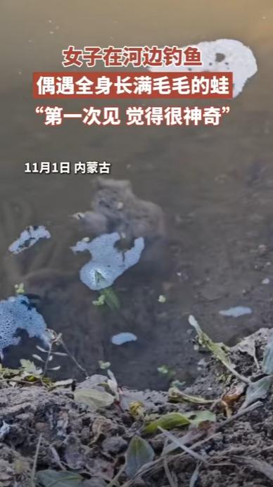 “活久见！”近日，内蒙古赤峰，一女子在河边钓鱼时，突然发现水里有一个长毛的“怪物