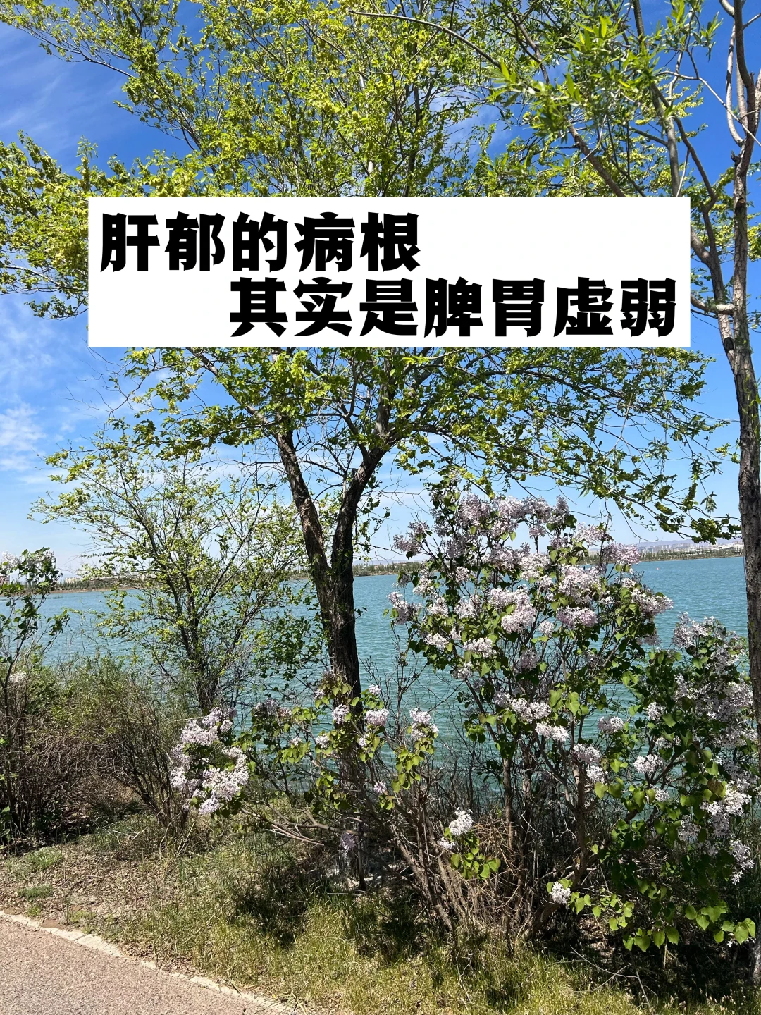 肝郁的病根，其实是脾胃虚弱！