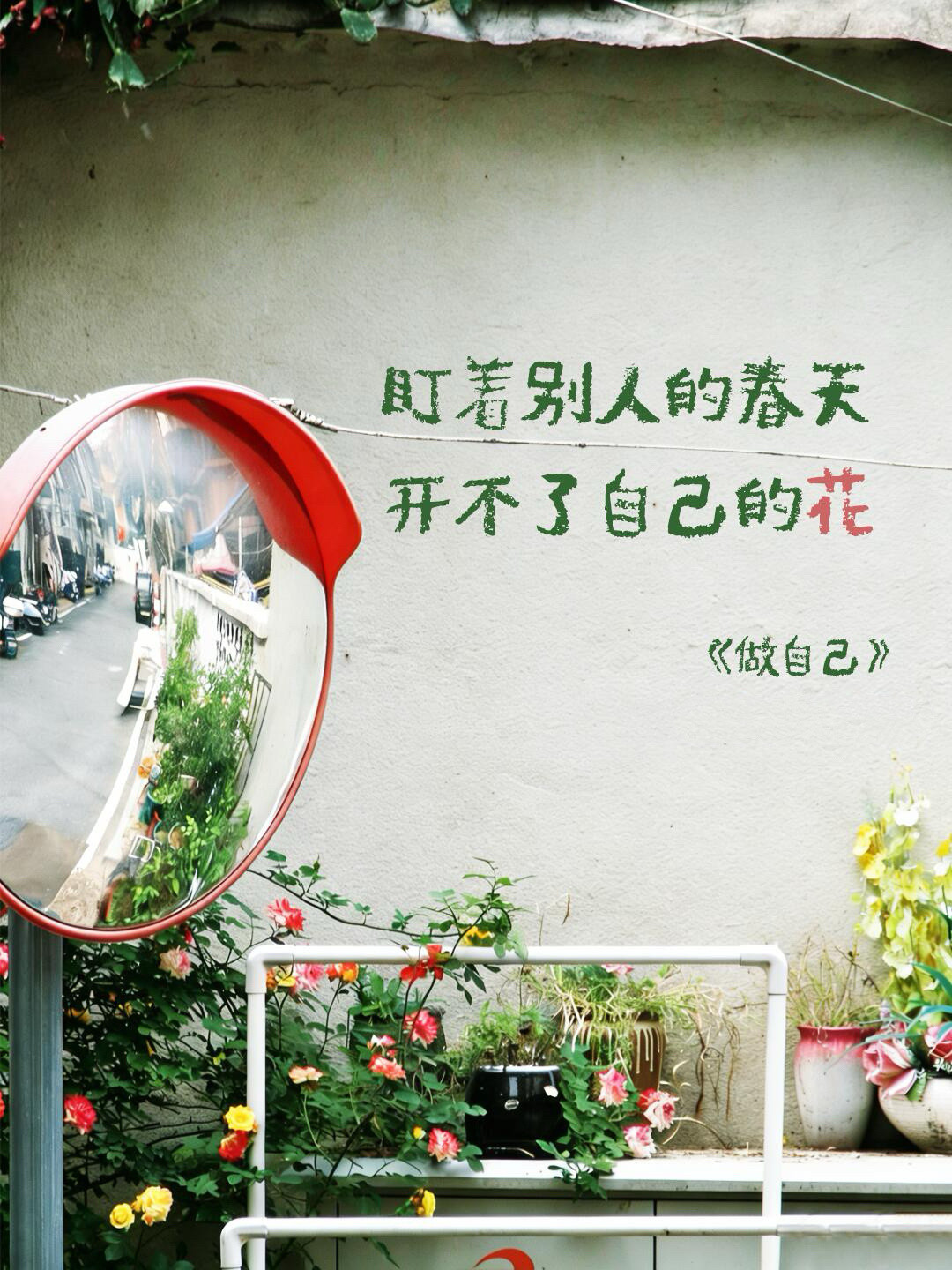 无论你经历了怎样的寒冬它都过去了接下来是发芽、是新生是春风十里是开自己的花