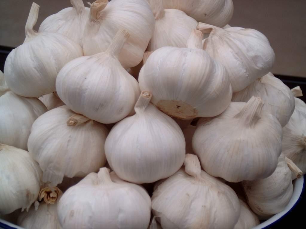 每天坚持吃这5种食物, 疾病见了你也要绕道走