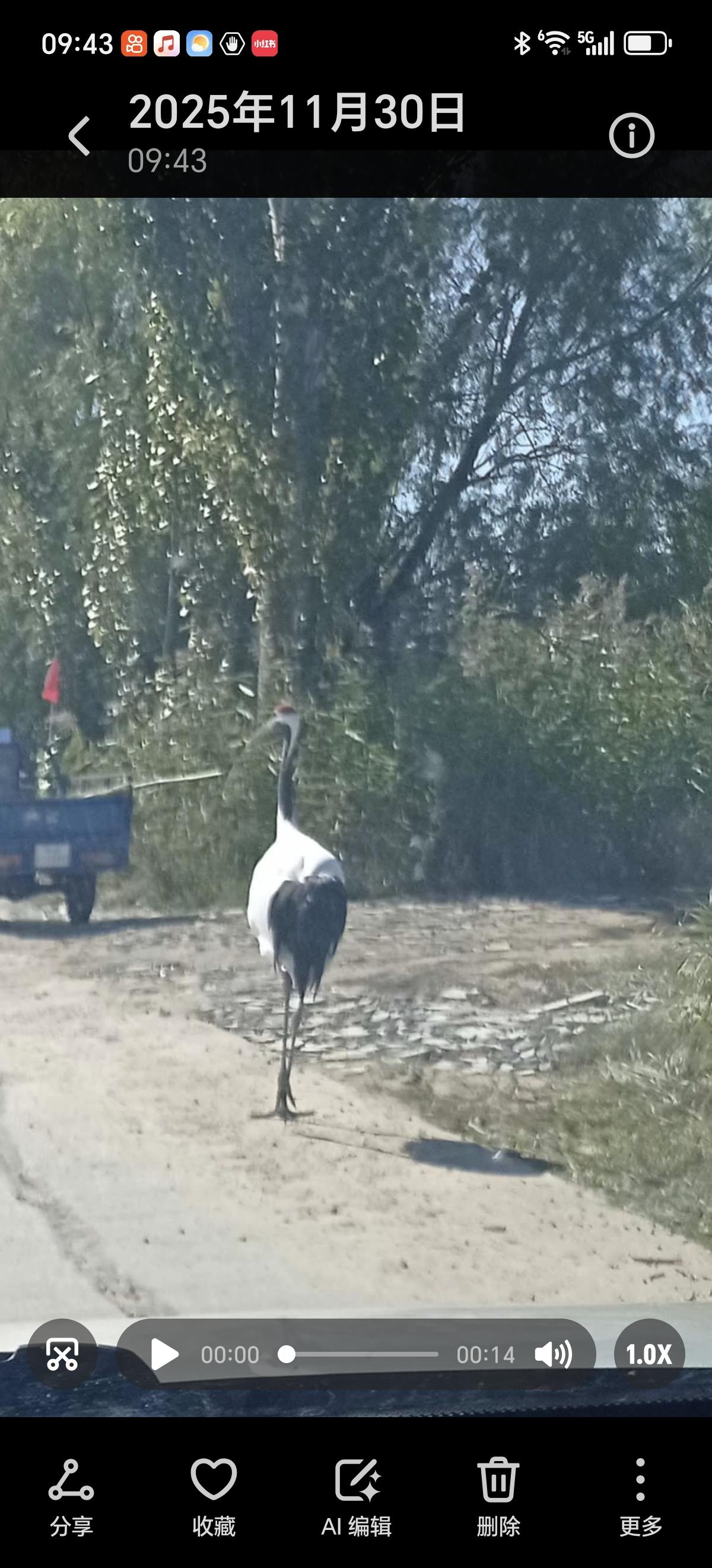 六十岁以后，如果还想多活几年，就死死记住这八句话！步入六十岁，不少人开始感叹