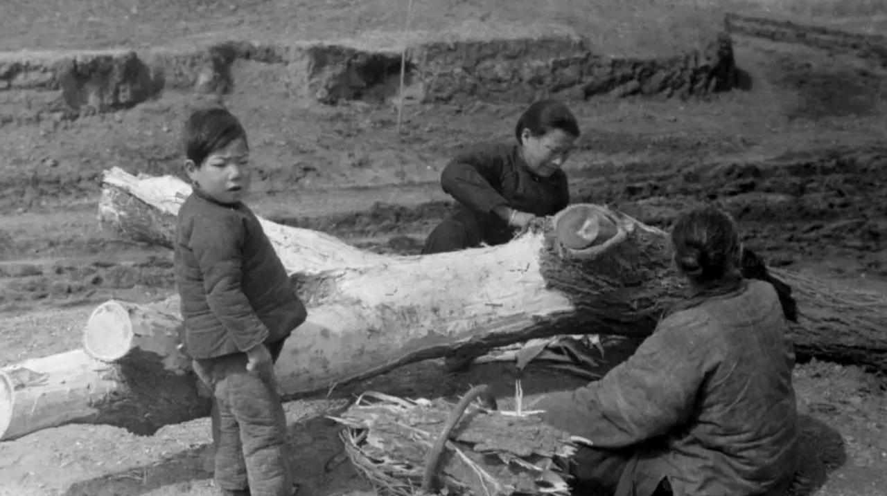 杀民养军？杀军养官！1942年前后的河南大饥荒，对冀鲁豫地区的影响，同样深刻。