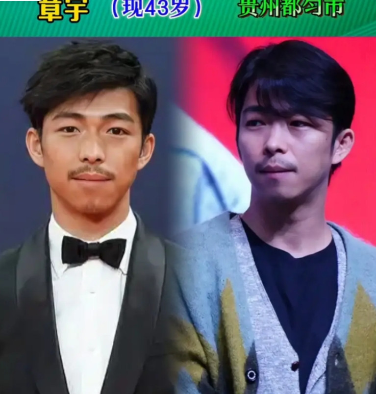 来自于贵州的明星，看着眼熟多位名字很陌生，在电视上经常可以见到他们，你认识几位