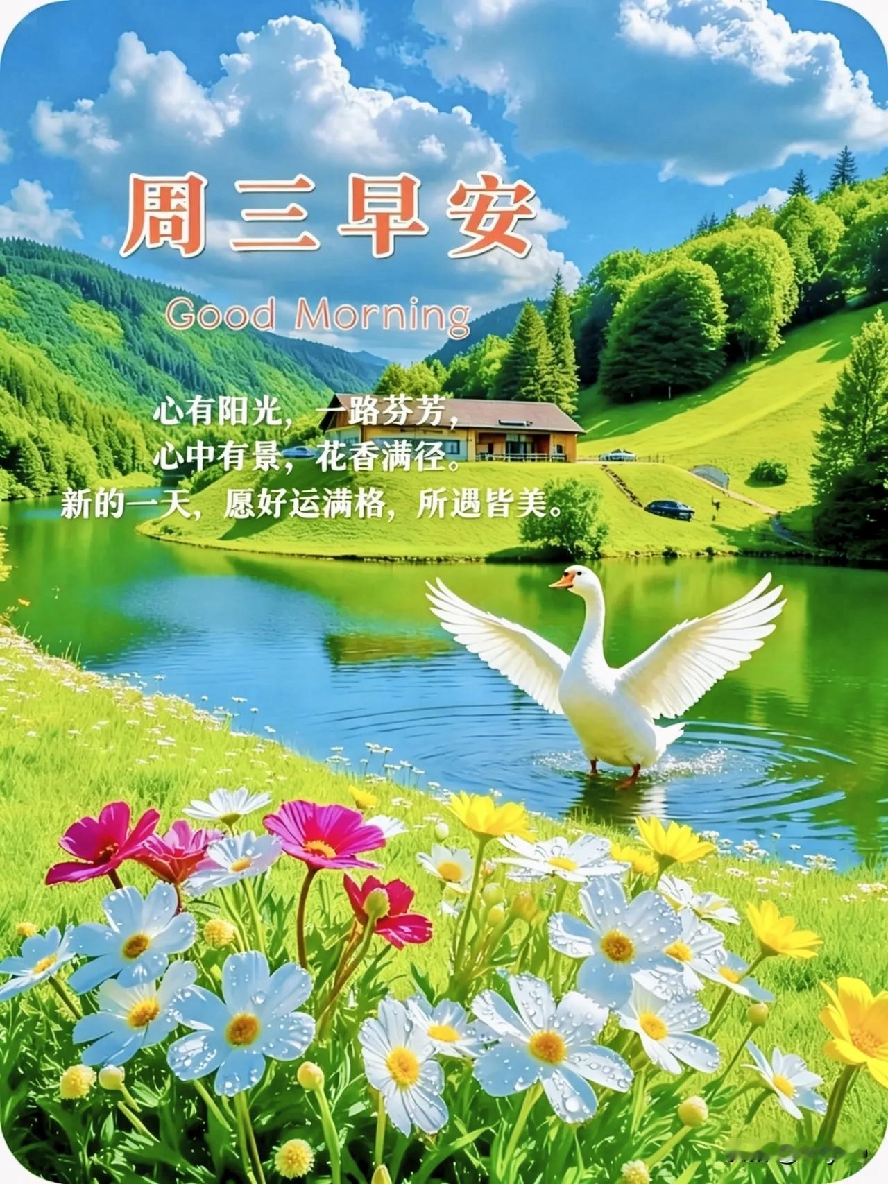 晨起问安，美好如约而至；日日相伴安康，岁岁共享暖意。携一份诚挚祝福，愿好运常