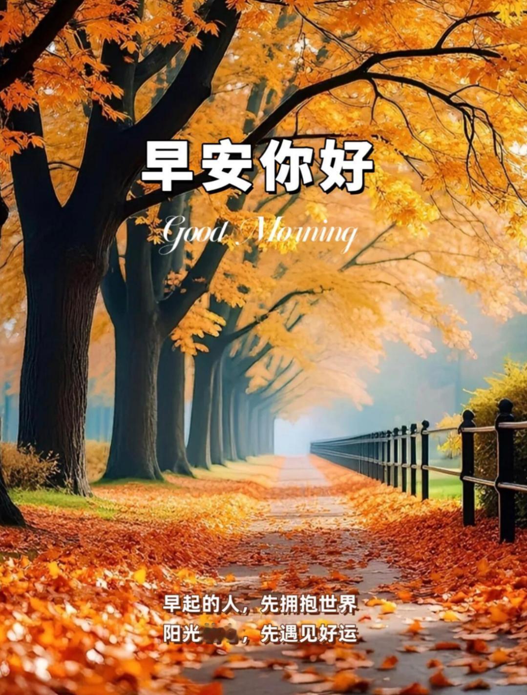 寒意渐重，问候不断。新的一天，愿你这个冬季有暖衣御寒，有挚友暖心，平安健康相随，