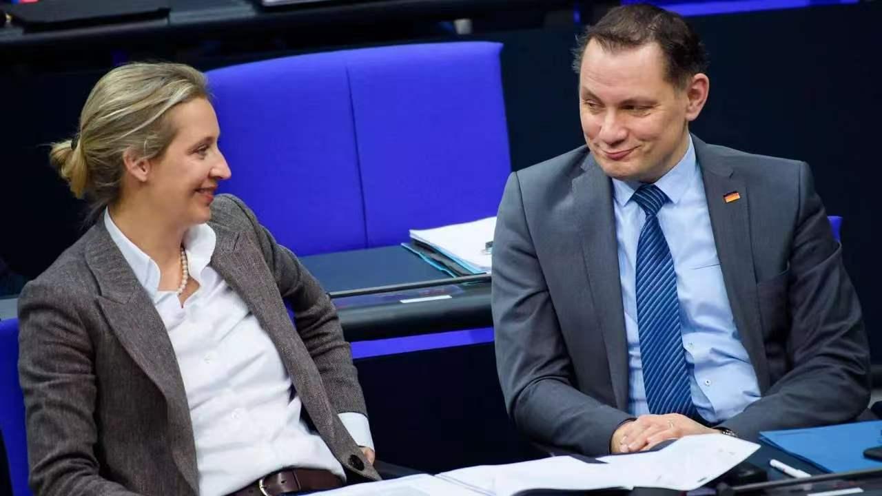 🇩🇪德国逾千名法律专家呼吁取缔另类选择党！8月4日，德国传出大新闻。